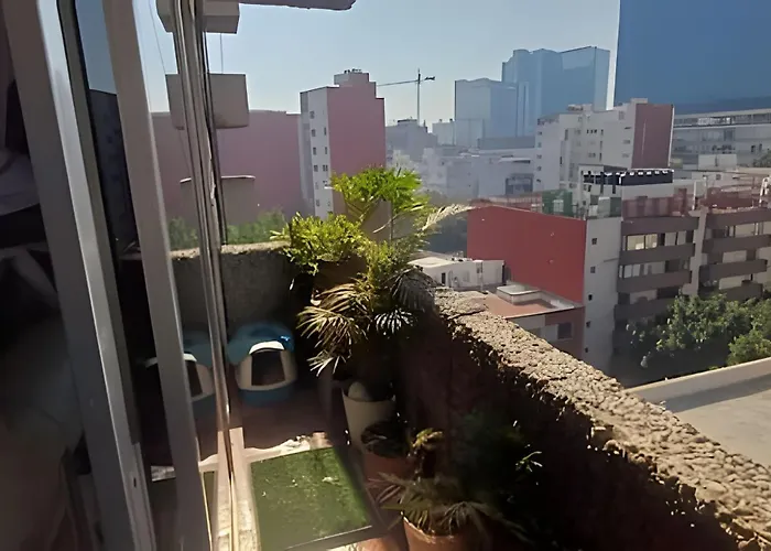 Ejecutiva Leo Wtc Y Pepsi Center Cdmx *